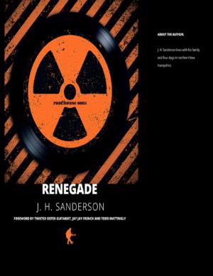 Cover of the book Renegade by Karen Deal Robinson