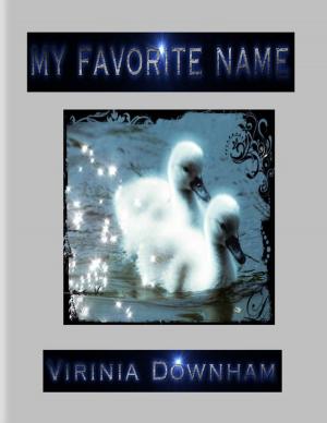 Book cover of My Favorite Name