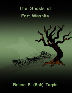 Book cover of The Ghosts of Fort Washita