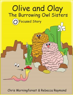 Cover of the book Olive and Olay - The Burrowing Owl Sisters - O Focused Story by Vanessa Nelson