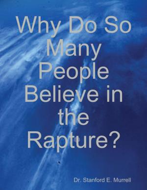 Cover of the book Why Do So Many People Believe in the Rapture? by Albert J. DeGroote