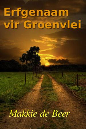 bigCover of the book Erfgenaam vir Groenvlei by 