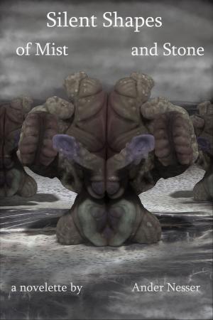 Book cover of Silent Shapes of Mist and Stone