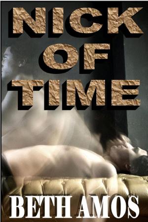 Cover of the book Nick of Time by Guido Henkel
