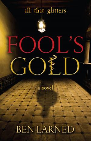 Cover of the book Fool's Gold by Donald Goodpaster