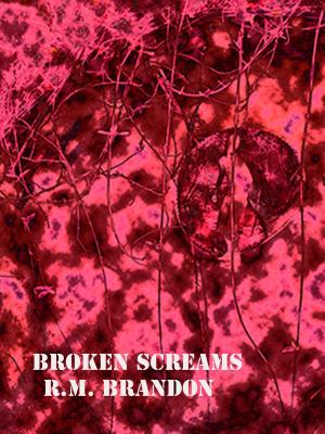 Cover of the book Broken Screams by Rob King