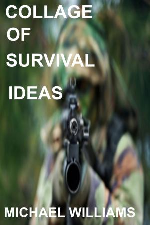 Cover of the book Collage of Survival Ideas by Alison Plus