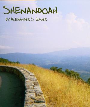 Cover of the book Shenandoah by Alexander S. Bauer