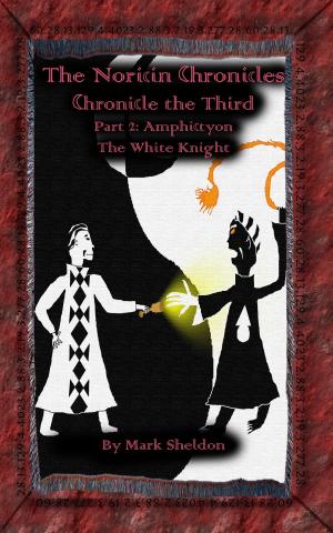 Book cover of The Noricin Chronicles: Amphictyon