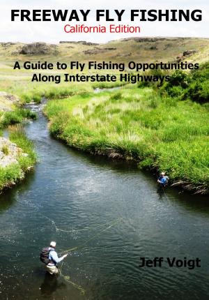 bigCover of the book Freeway Fly Fishing /California Edition by 