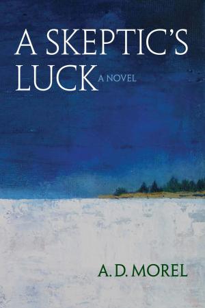 Book cover of A Skeptic’s Luck