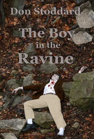 Book cover of The Boy in the Ravine
