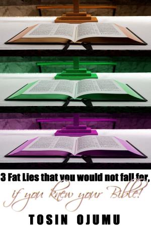bigCover of the book 3 Fat Lies That You Would Not Fall For, If You Knew Your Bible by 