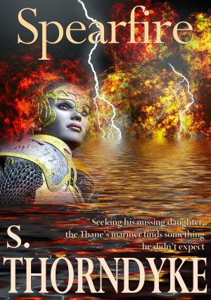Cover of the book Spearfire by carine boehler