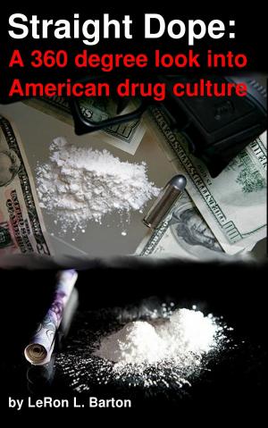 Cover of the book Straight Dope: A 360 degree look into American drug culture by Michael McGee MD