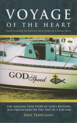 Cover of the book Voyage of the Heart by Paul Lobo