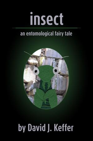 Book cover of Insect: An Entomological Fairy Tale