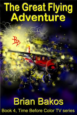 Book cover of The Great Flying Adventure