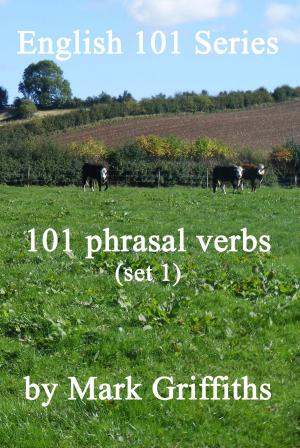 Cover of English 101 Series: 101 phrasal verbs (set 1)
