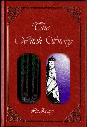 Book cover of The Witch Story