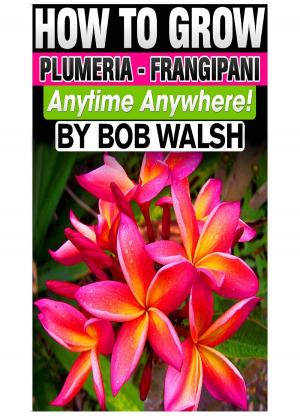 Cover of the book How To Grow Plumeria: Frangipani Anytime Anywhere! by Kelly T Hudson