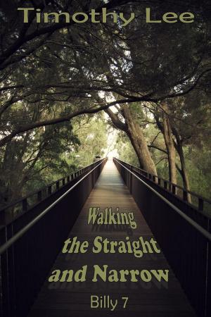 Book cover of Walking the Straight and Narrow: Billy 7