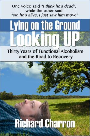Cover of the book Lying on the Ground Looking Up by Derek Turner