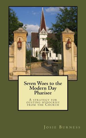 Book cover of Seven Woes to the Modern Day Pharisee