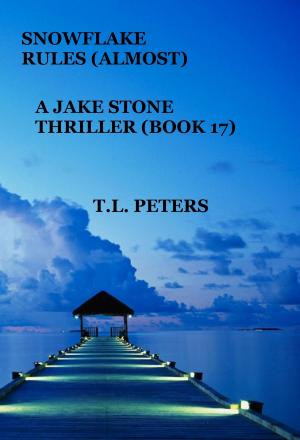 Book cover of Snowflake Rules (Almost), A Jake Stone Thriller (Book 17)