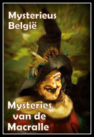 Cover of the book Mysteries van de Macralle by Patrick Bernauw