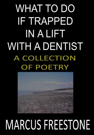 Book cover of What To Do If Trapped In A Lift With A Dentist