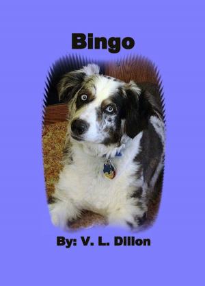 bigCover of the book Bingo by 