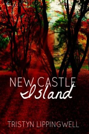 Cover of New Castle Island