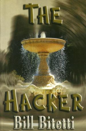 Cover of the book The Hacker by Zamuel Carratalá
