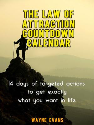 Book cover of The Law of Attraction Countdown Calendar