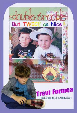 bigCover of the book Double Trouble: But Twice As Nice by 