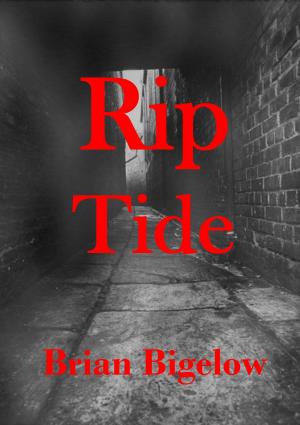 Book cover of Rip Tide
