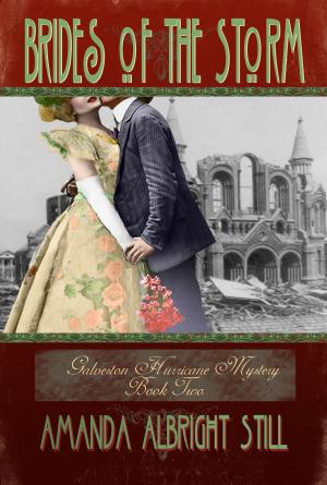 Cover of the book Brides of the Storm by K.L. McCluskey