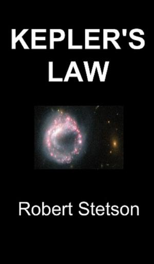 Cover of the book Kepler's Law by Robert Stetson