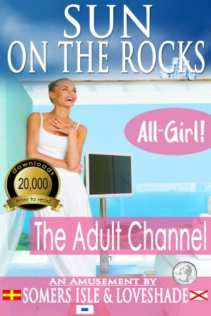 Cover of the book Sun on the Rocks: The Adult Channel by Somers Isle & Loveshade