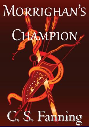 Cover of Morrighan's Champion