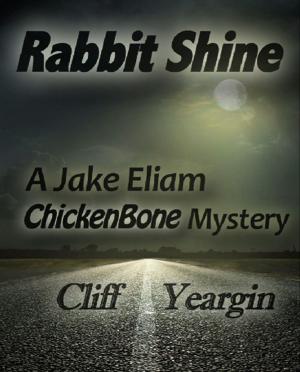 bigCover of the book Rabbit Shine by 