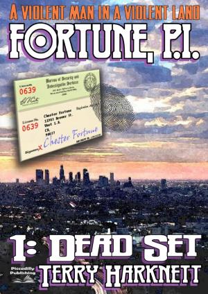 Cover of the book Dead Set: Fortune P.I. #1 by J.T. Edson