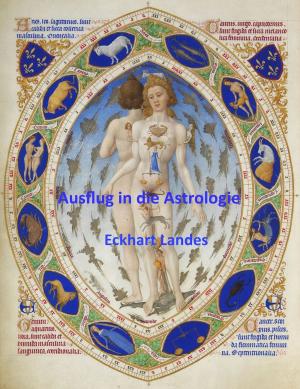 Cover of the book Ausflug in die Astrologie by C. Orville McLeish