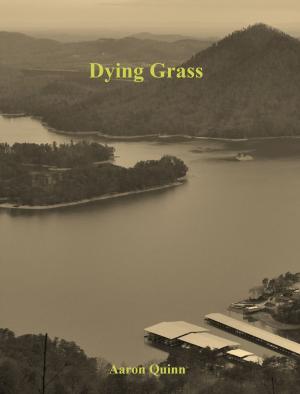 Cover of the book Dying Grass by Valvin Lee Jeanty
