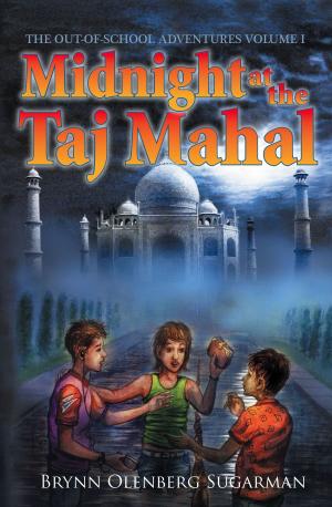 Book cover of Midnight at the Taj Mahal