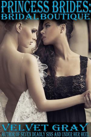 Book cover of Princess Brides: Bridal Boutique