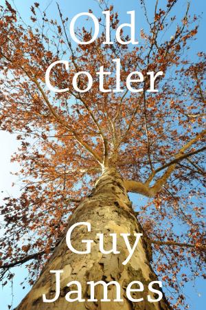 Cover of Old Cotler: A Short Thriller