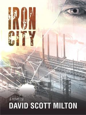Book cover of Iron City