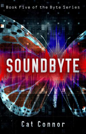 Cover of the book Soundbyte by Brett Halliday